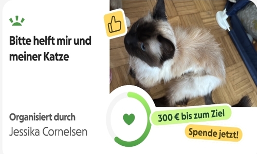 Spende Katze Rettung